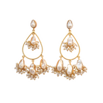 Load image into Gallery viewer, Luxurious Pearl Charm Dangling Earring