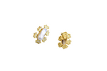 Load image into Gallery viewer, Pearl Golden Earring Studs